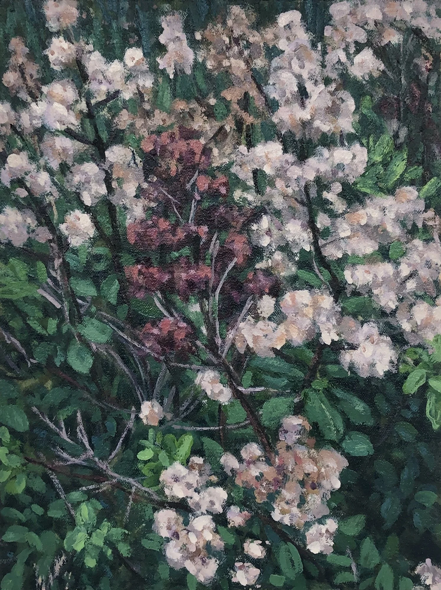 Oil painting of wild flowers
