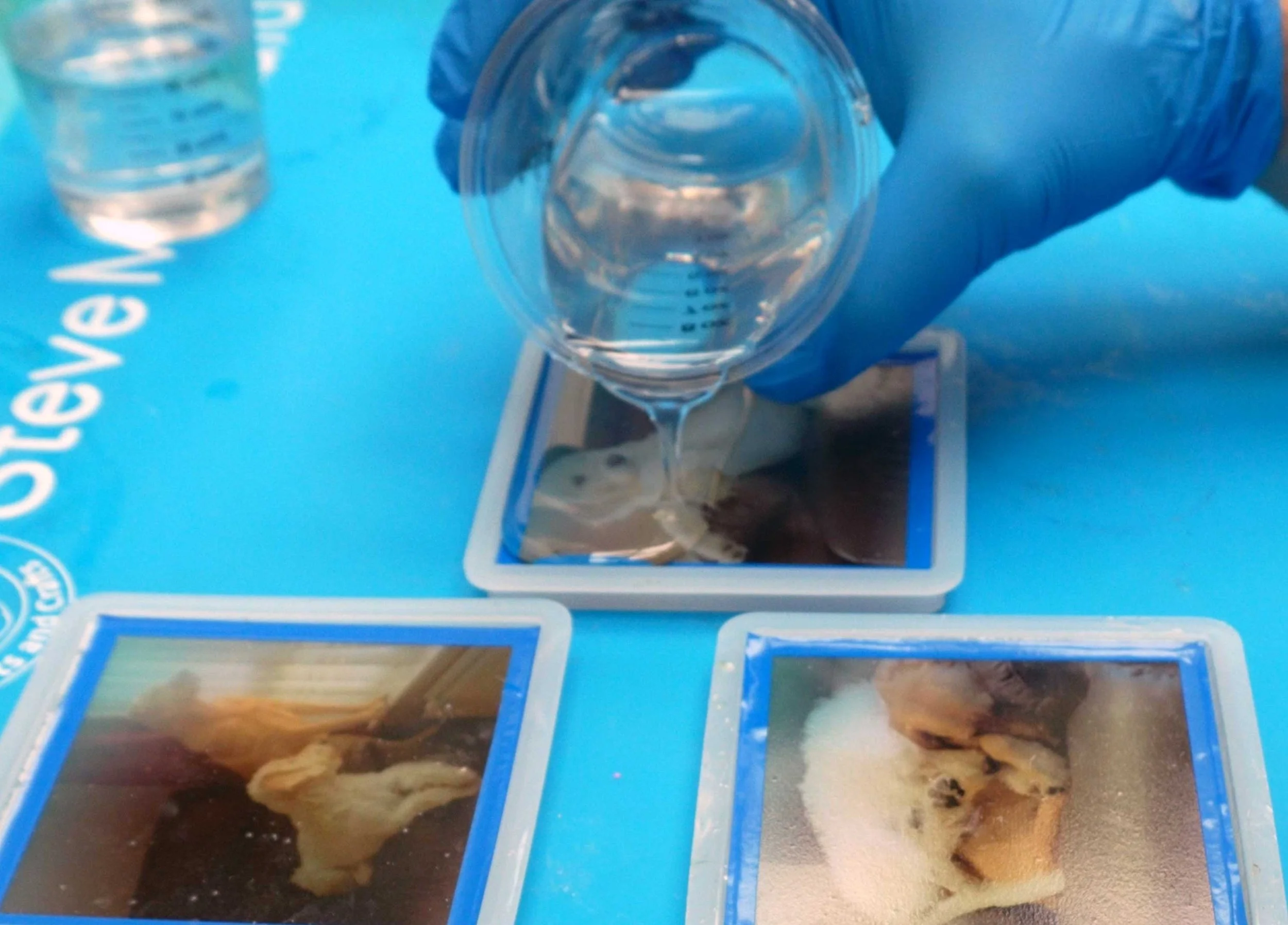 How to Turn Resin Coaster Moulds into a Stunning DIY Photo Light Cube