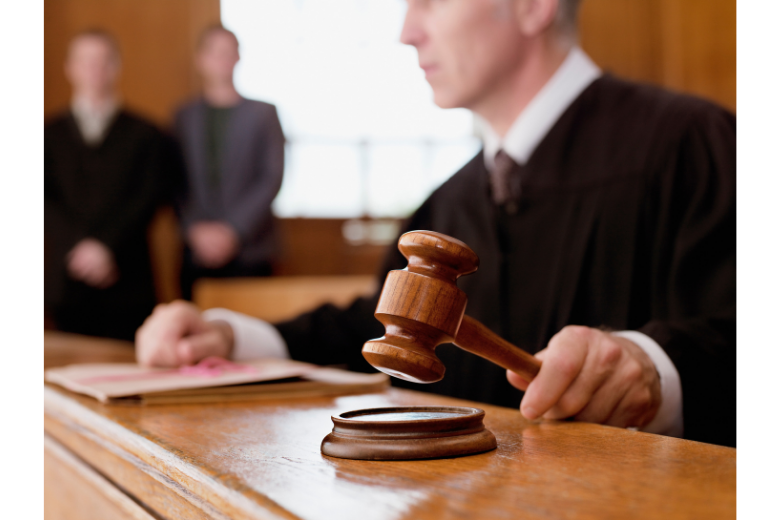 Website Image- judge.png