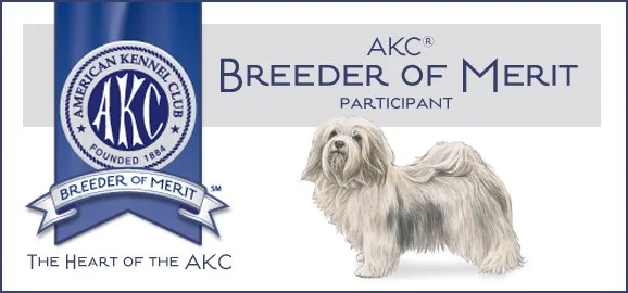 AKC Breeder of Merit
