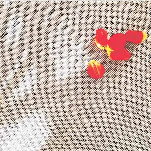 The voice of silence