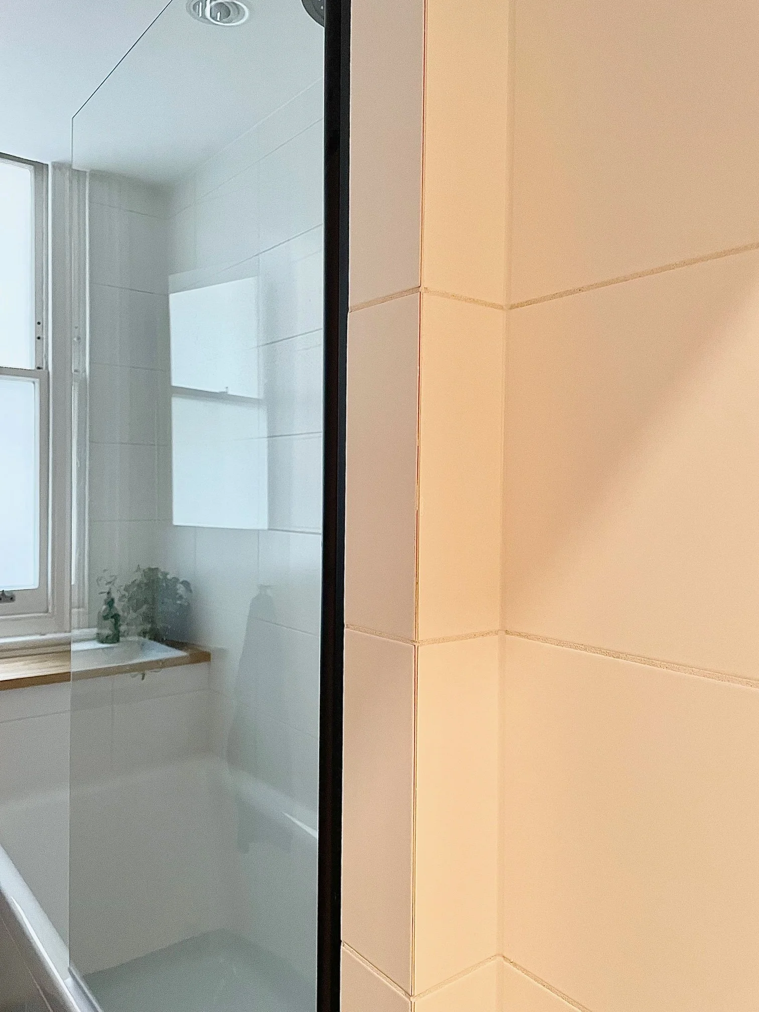 3 Bathroom 2 tiling detail.jpeg