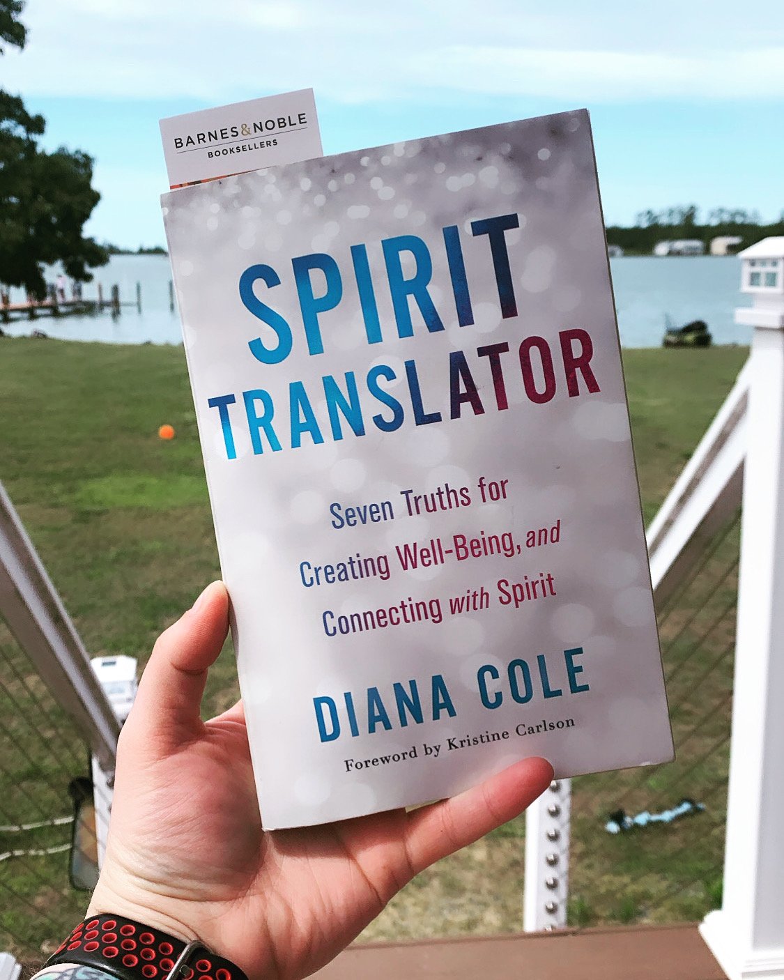 Book Review: Spirit Translator by Diana Cole