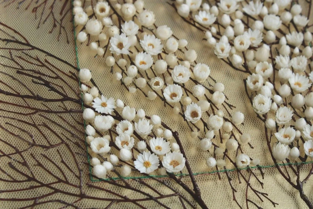 Outside In (2025). Dried birch twigs, mangles everlasting. 42cm x 42cm. 