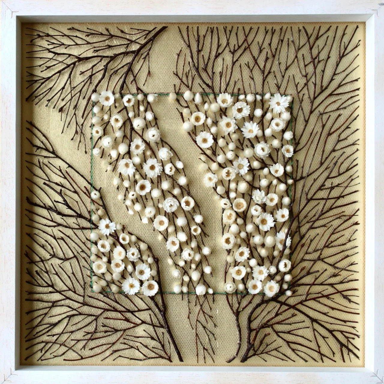 Outside In (2025). Dried birch twigs, mangles everlasting, metallic thread. 42cm x 42cm. 