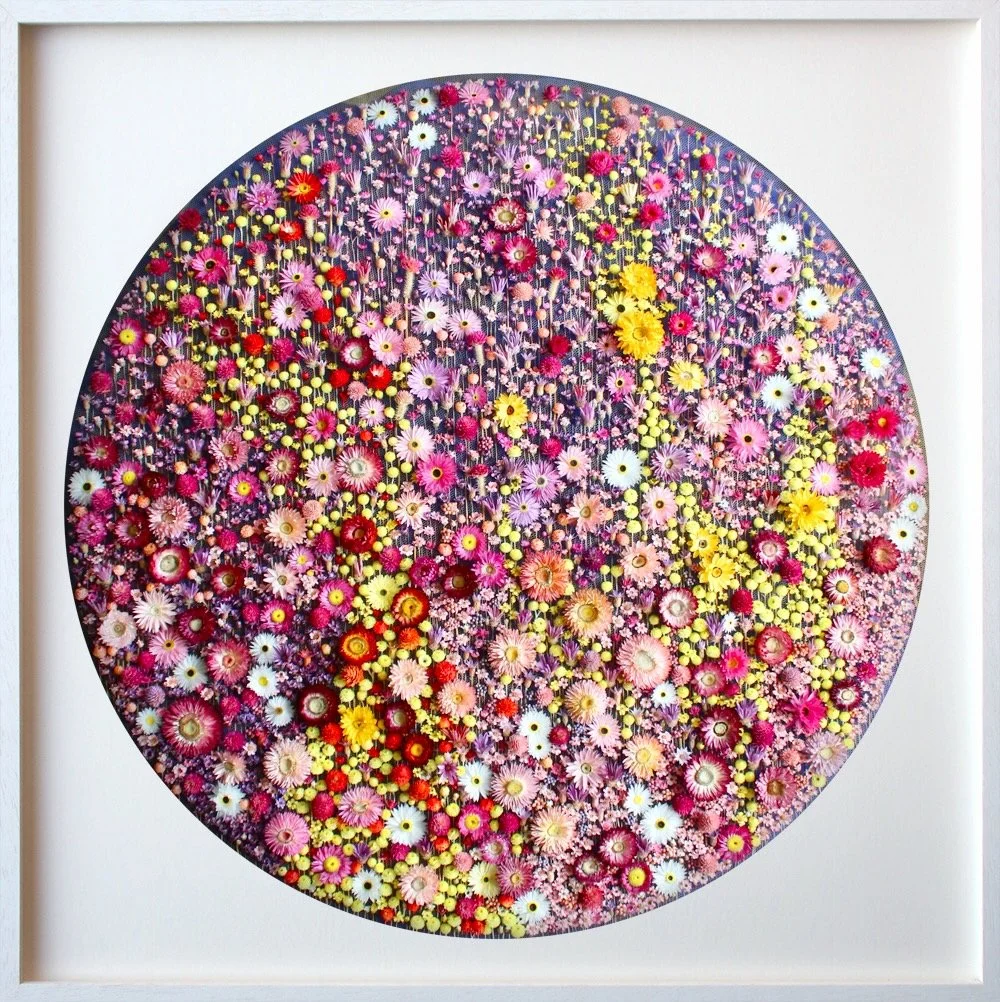 Under the Midnight Sky (2025), 105cm x 105 cm. Around 9 dried flower species.