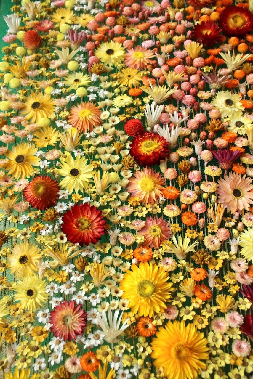 Pastoral 2 (close up).