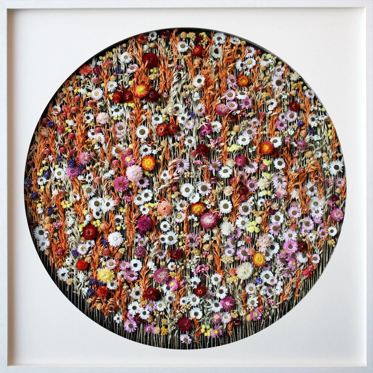 Woven Landscape 1 (2022). Made with 7 dried plant species including flax, oats, dwarf everlasting, strawflower. (sold)