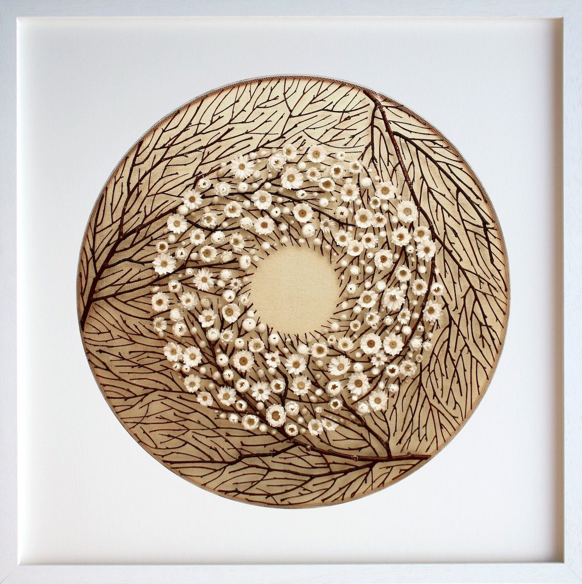 Counterflow (2025). Dried birch twigs, mangles everlasting. 55cm x 55cm. (sold)