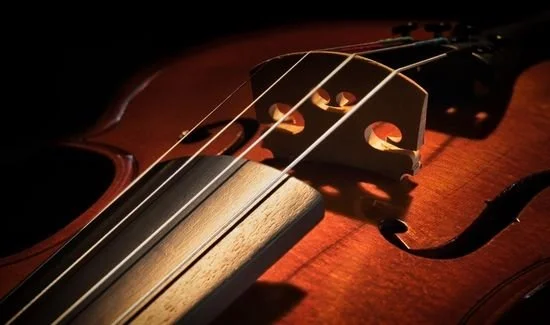 Afternoon "T," a Second City Chamber Series concert featuring string trios by Beethoven and Dohnányi