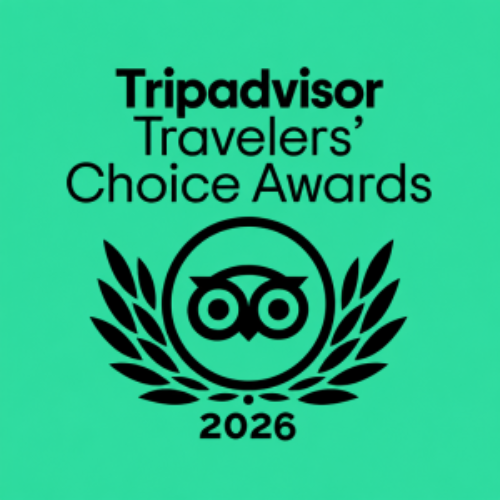 Tripadvisor Traveler's Choice Award 2026 rosette in green and black