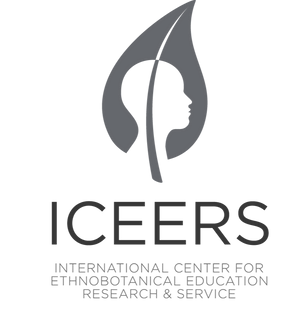 ICEERS logo - 2.png