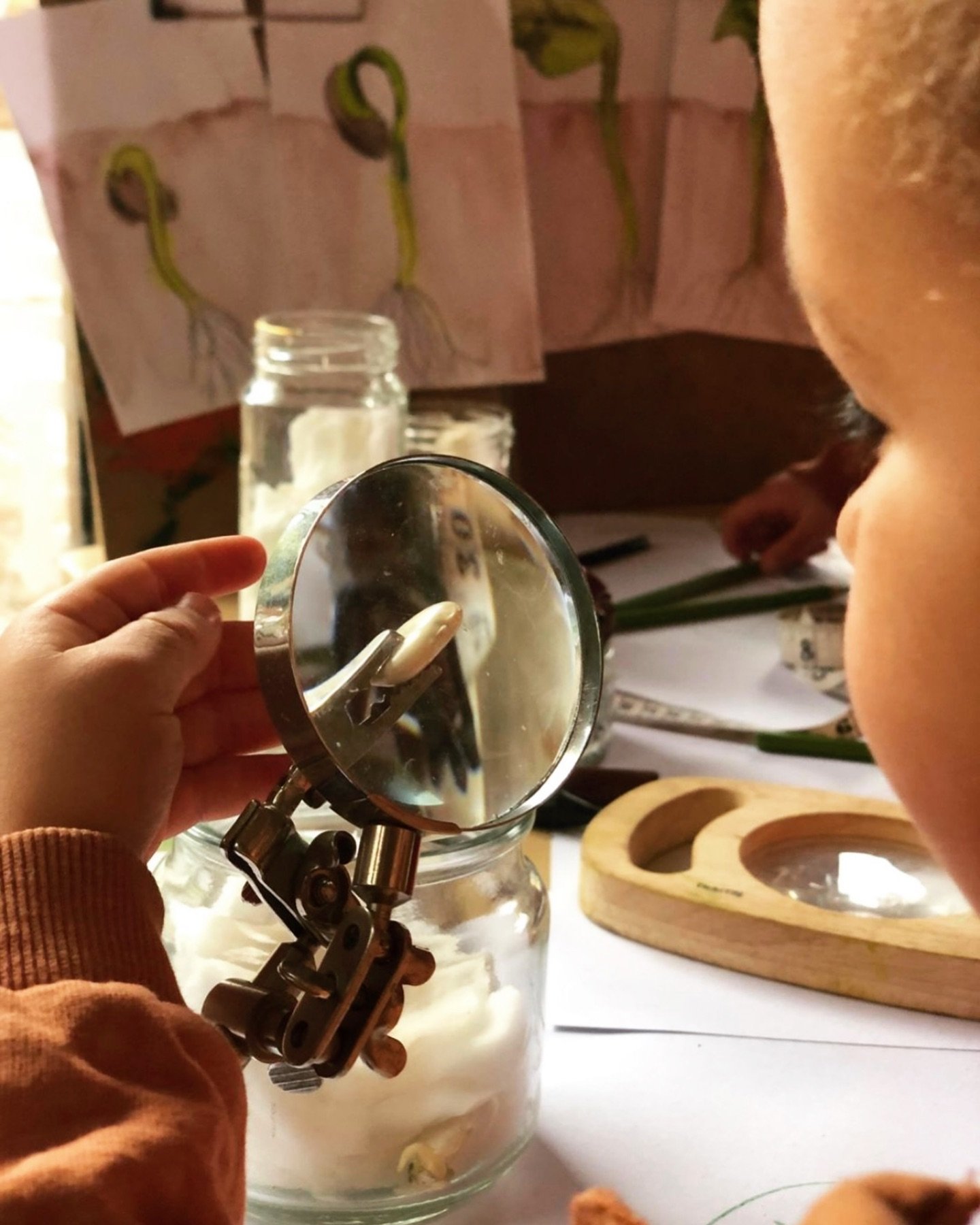 Investigating seeds in the Lodge at Naturally Learning Blackwater 🔎

#thisisnaturallylearning