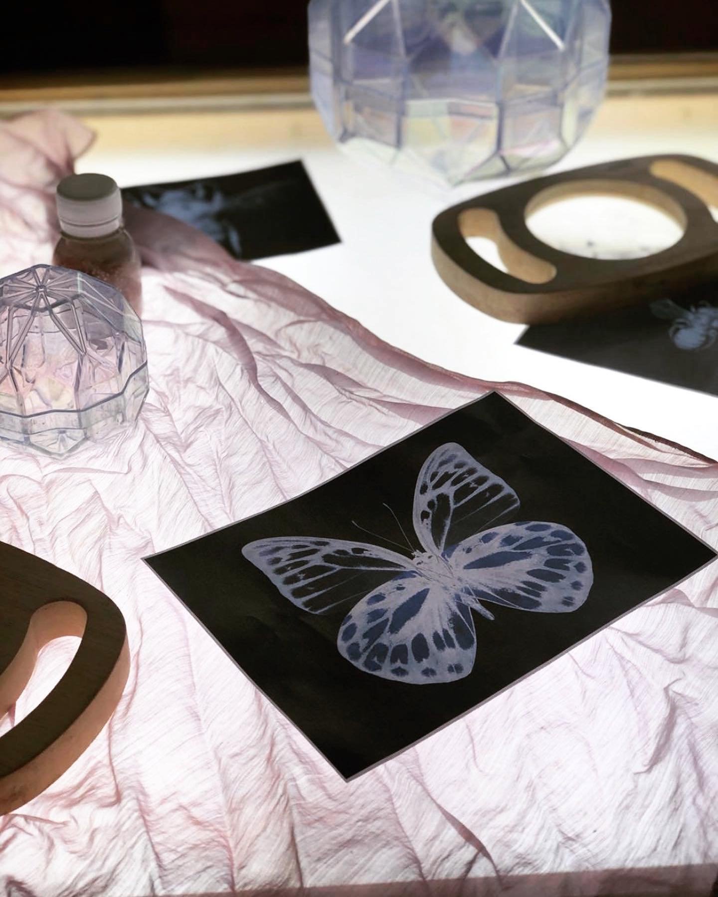 Exploring butterfly wings on the light box at Naturally Learning Truro 🦋

Inspired by the winged pollinators the babies spotted in the nursery garden! 

#thisisnaturallylearning