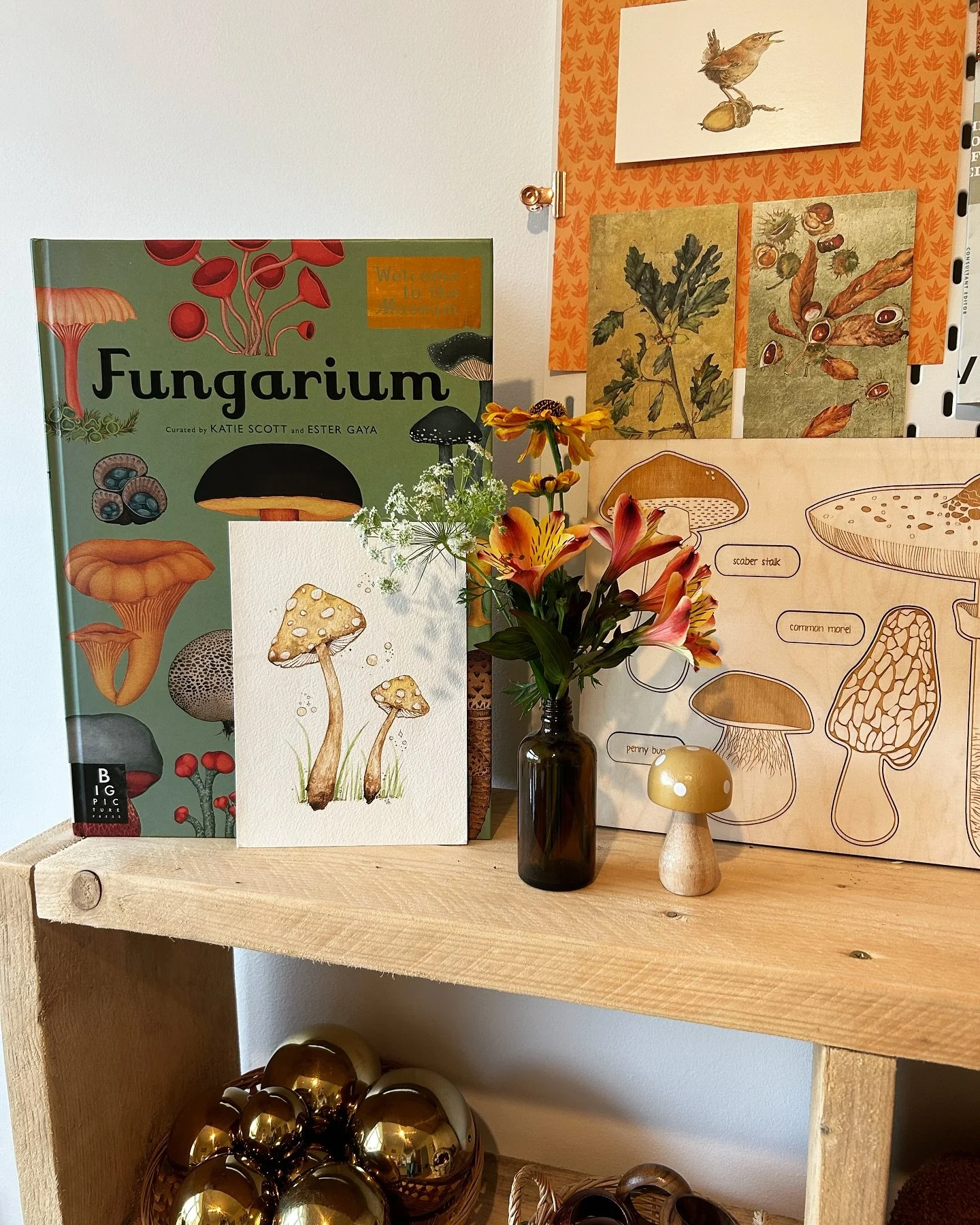 Discovering mushrooms is one of our favourite projects! 🍄‍🟫
Did you know they are vital to the world’s ecosystem? 
There are so many things to be discovered in the world of Fungarium!