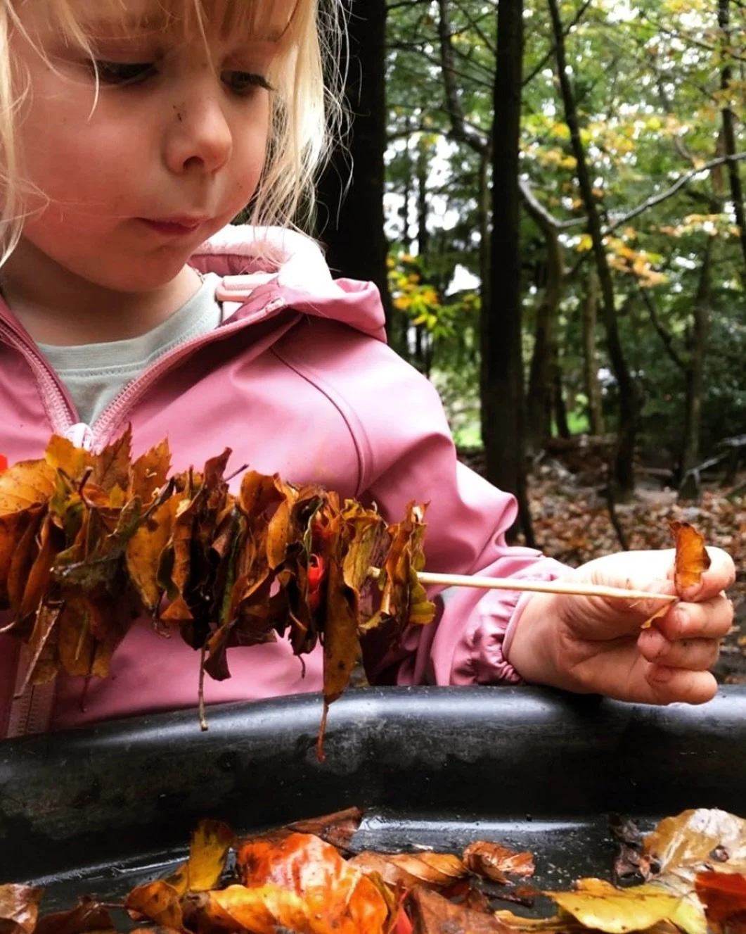 Threading fallen leaves in the woods at Naturally Learning Charlestown 🍂