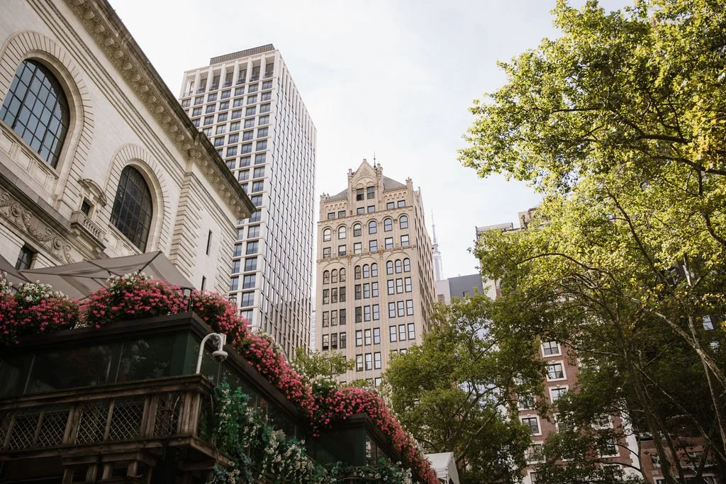 Cityscape with tall buildings, green trees, and a terrace with pink flowers in the foreground.