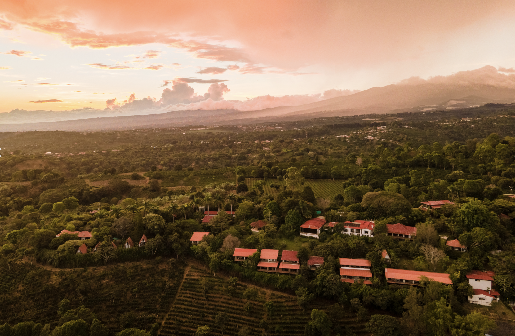 Screenshot 2024-07-12 at 1.51.26 PM.png