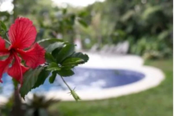 Screenshot 2024-07-15 at 1.15.25 PM.jpg