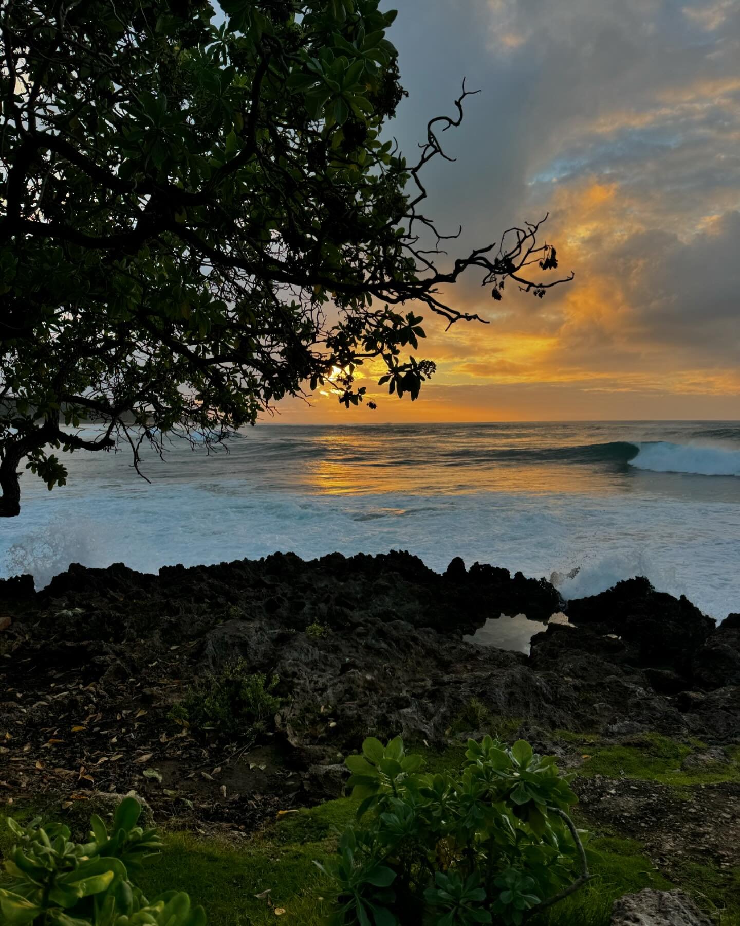 Quick reset last week back on the North Shore! 🫶