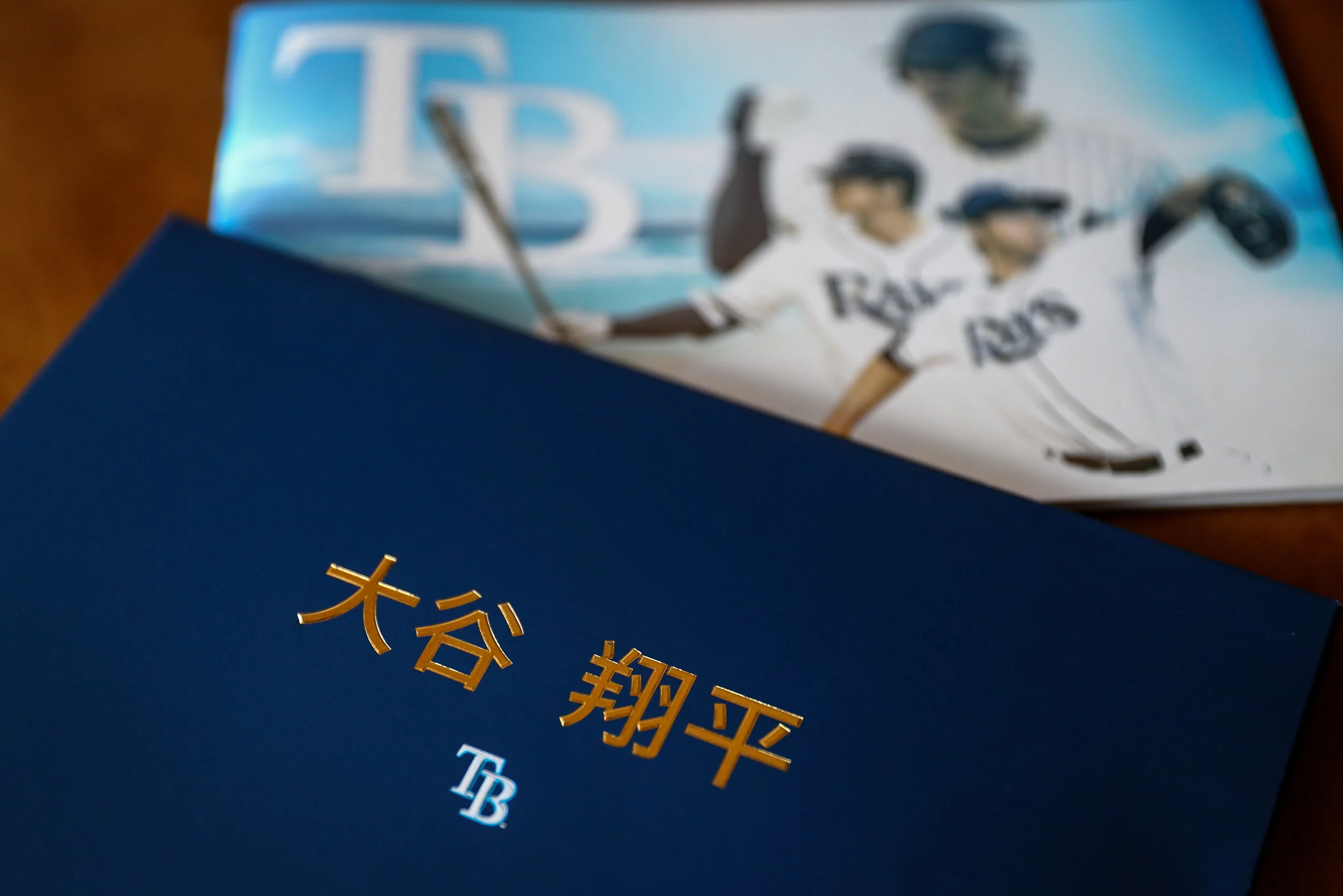 Ohtani Recruitment Book