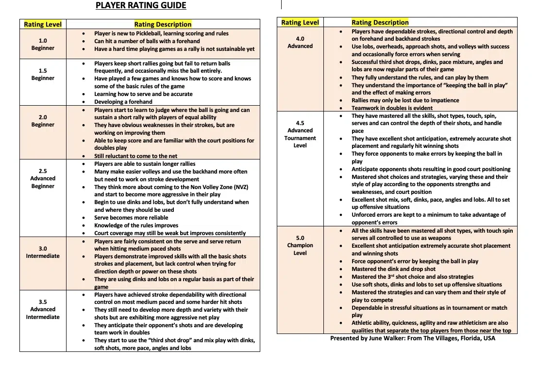 4.0 to 5.0 DUPR Rated Players