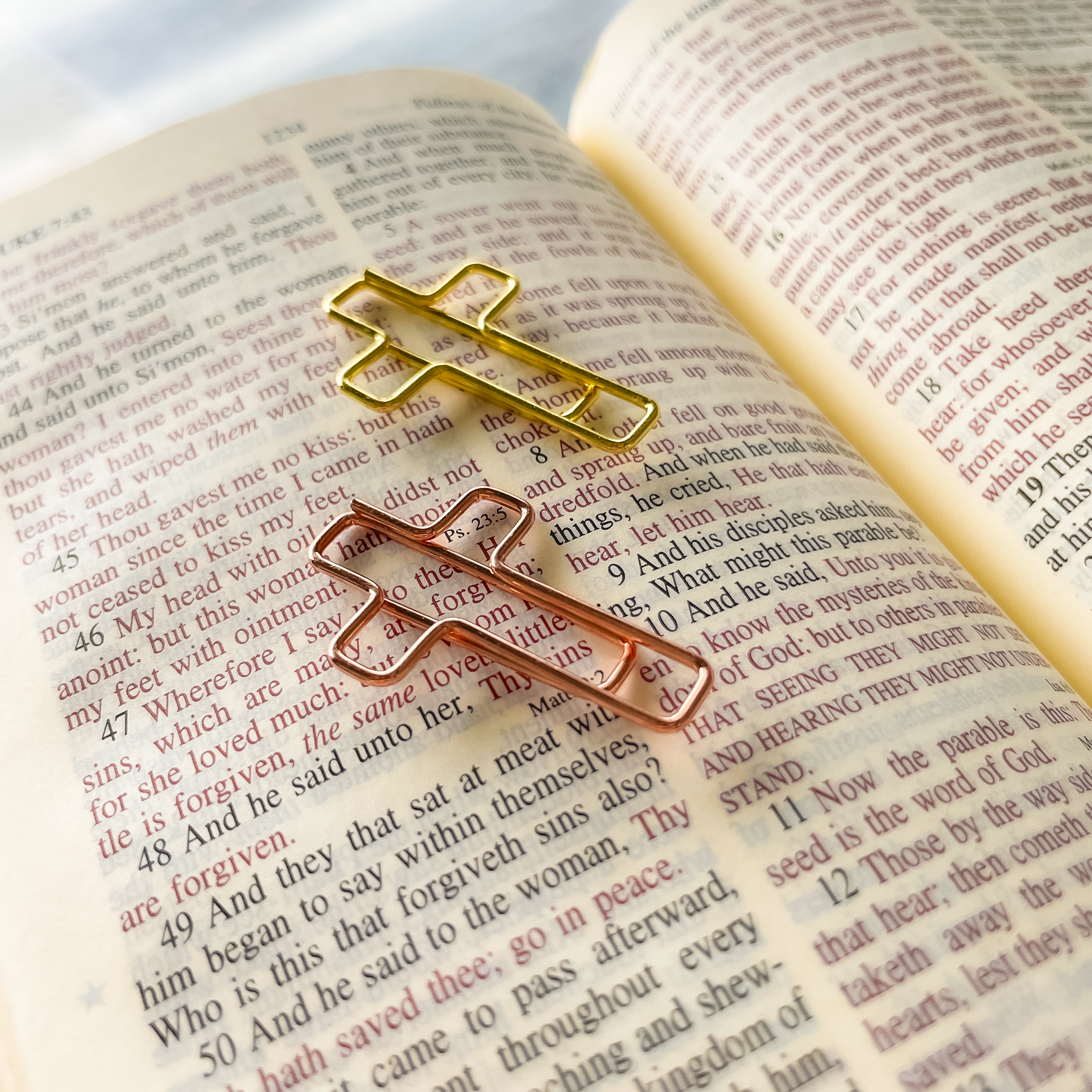paperclips on bible.png
