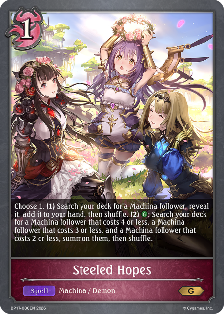 BP17-080EN.png