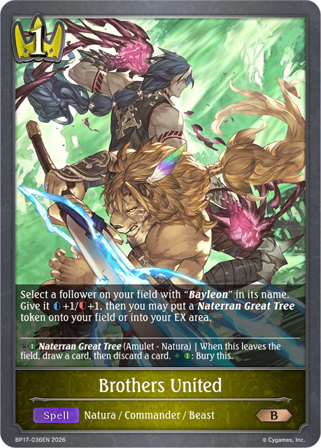 BP17-036EN.png