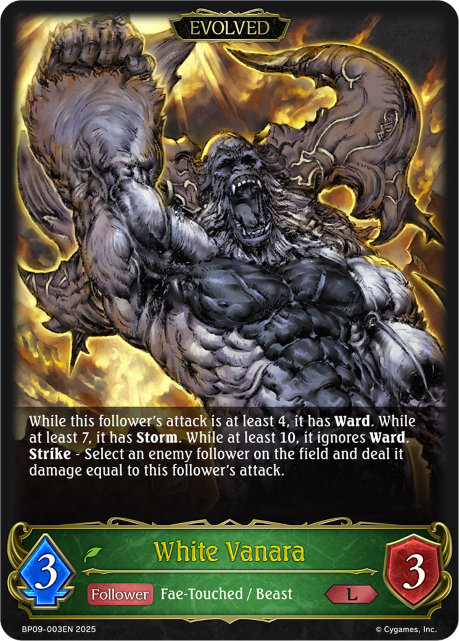 BP09-003EN.png