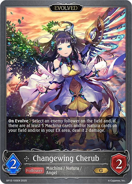 BP12-105EN.png