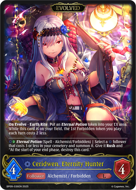 BP09-036EN.png