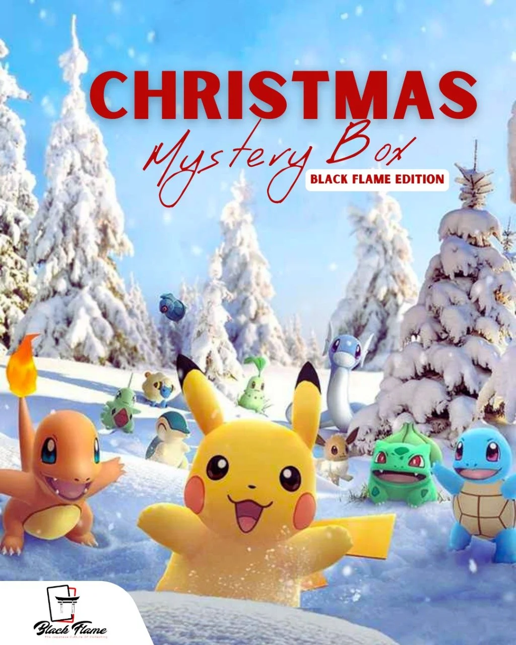 Winter Holidays Mystery Box