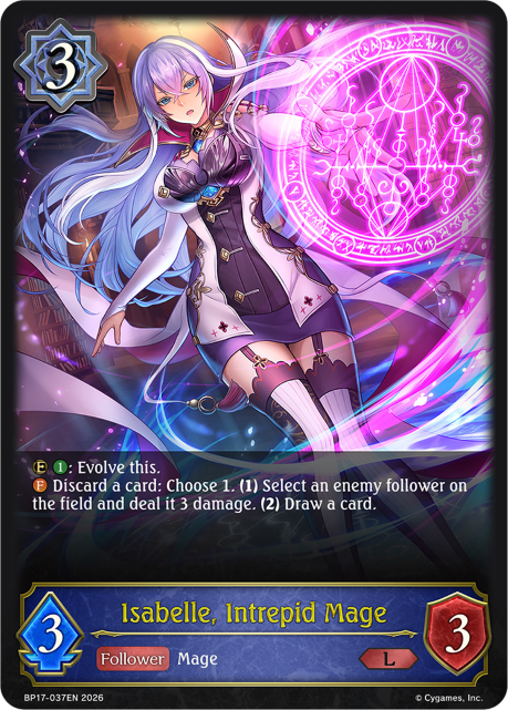 BP17-037EN.png