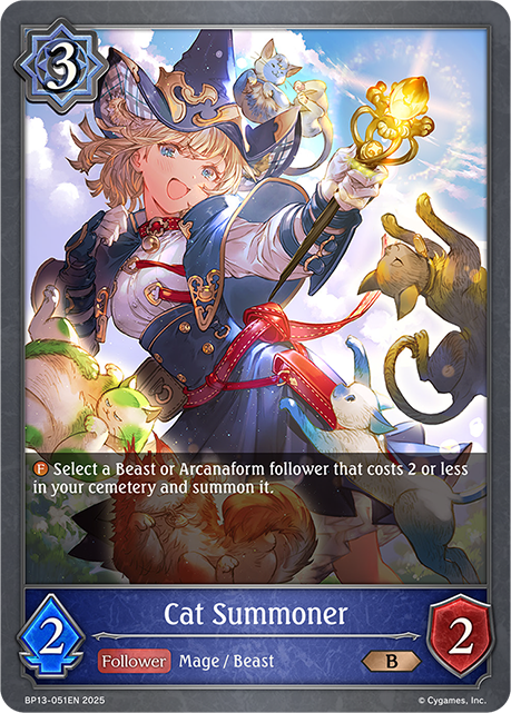 BP13-051EN.png