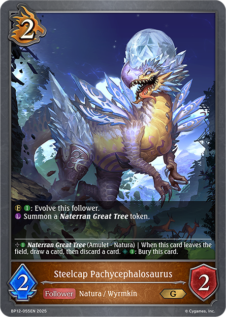 BP12-055EN.png