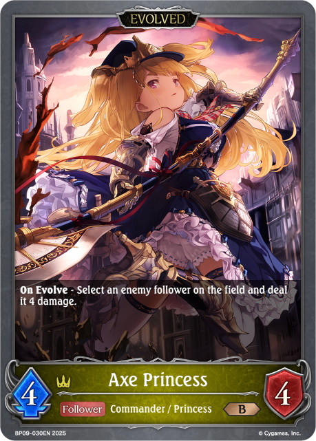 BP09-030EN.png