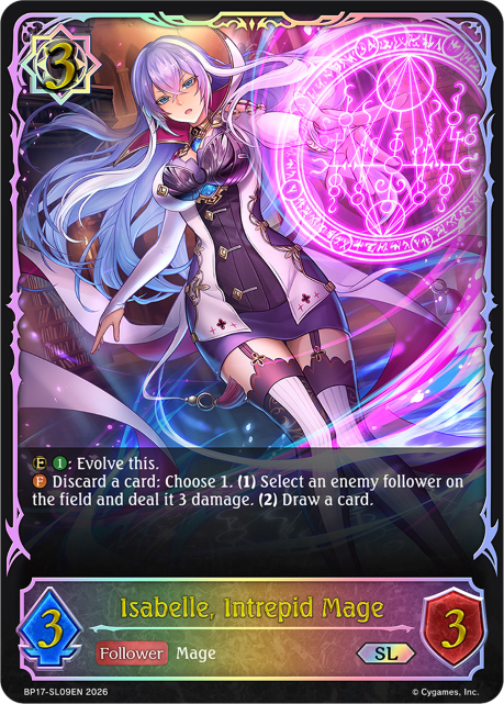 BP17-SL09EN.png
