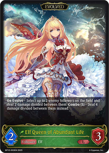 BP12-003EN.png
