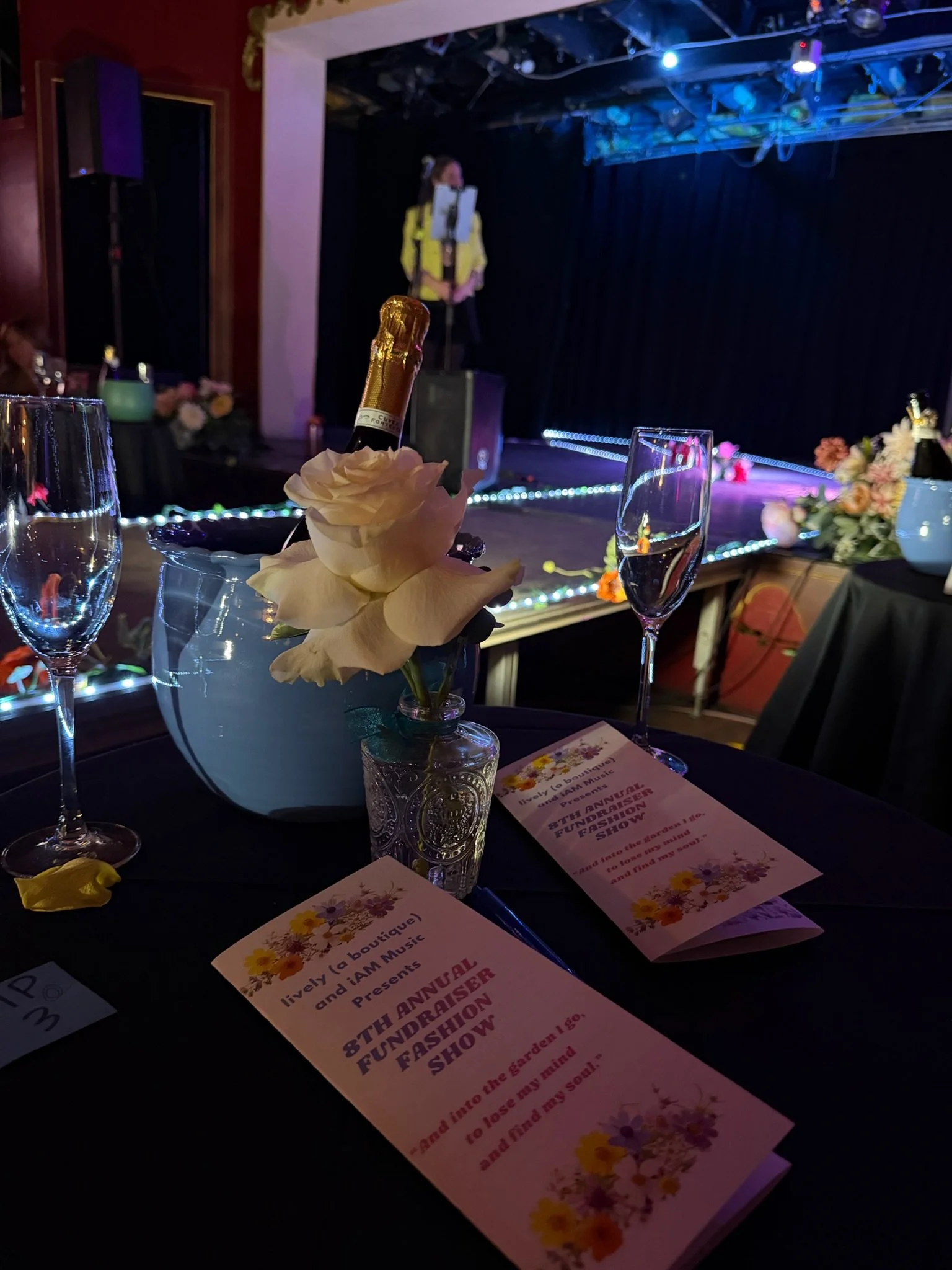 The Runway Recap: 8th Annual Lively Fundraiser Fashion Show Highlights!