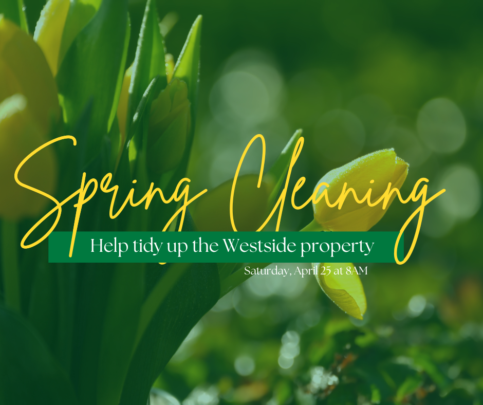 Spring Yard Clean Up