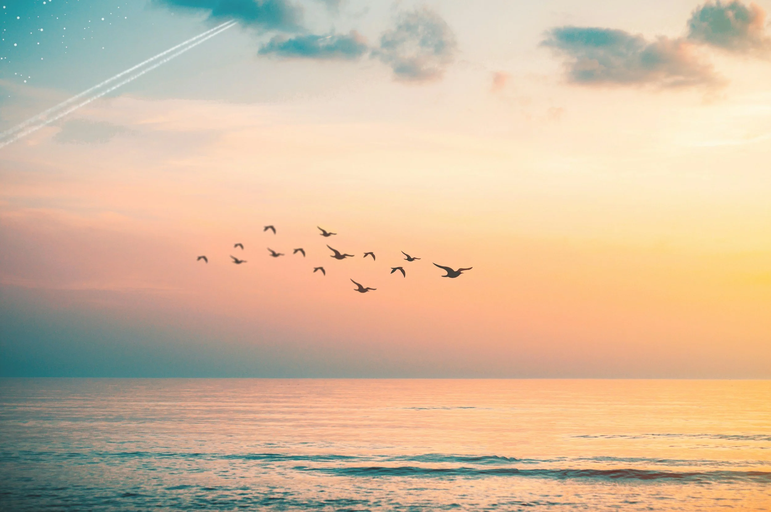 Birds flying over an ocean at sunset