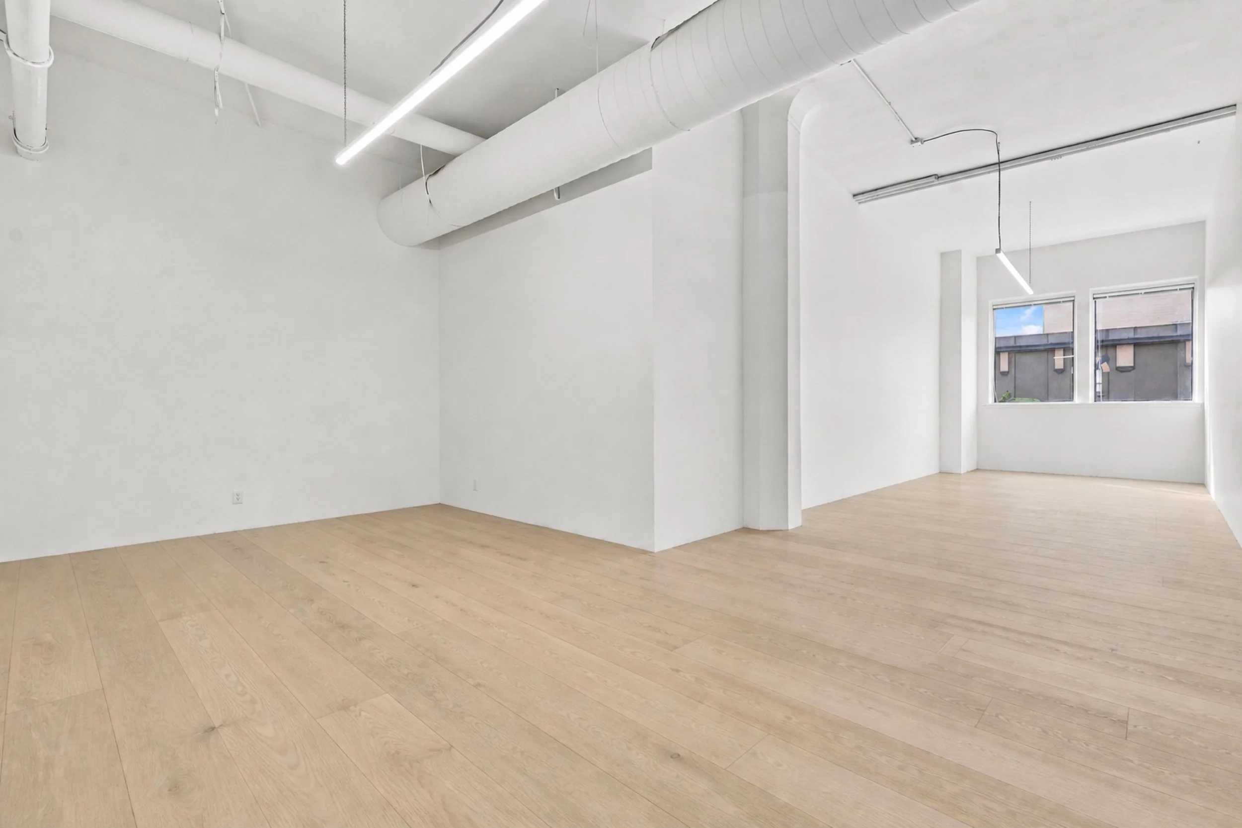 Unit 201 Virtual Flooring.jpg