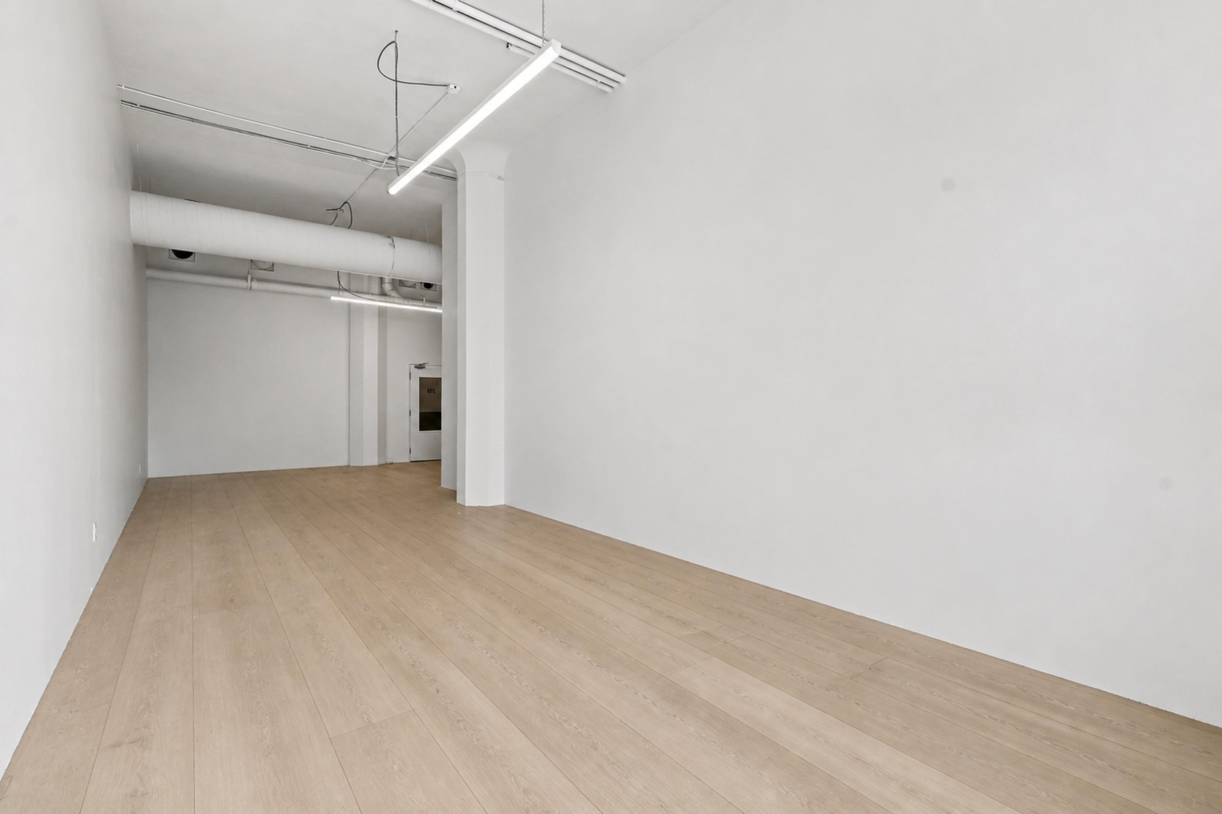 Unit 201 front virtual flooring.jpg