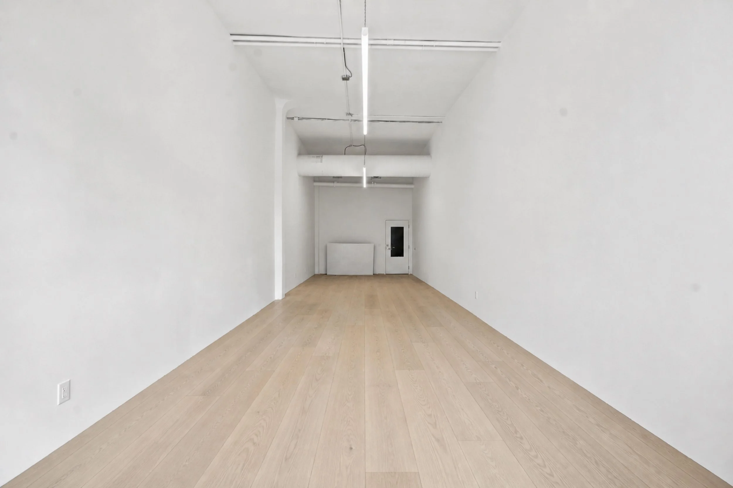 Unit 202 front virtual flooring.jpg