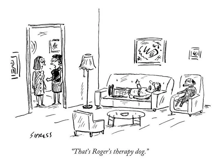 thats-rogers-therapy-dog-david-sipres.jpeg