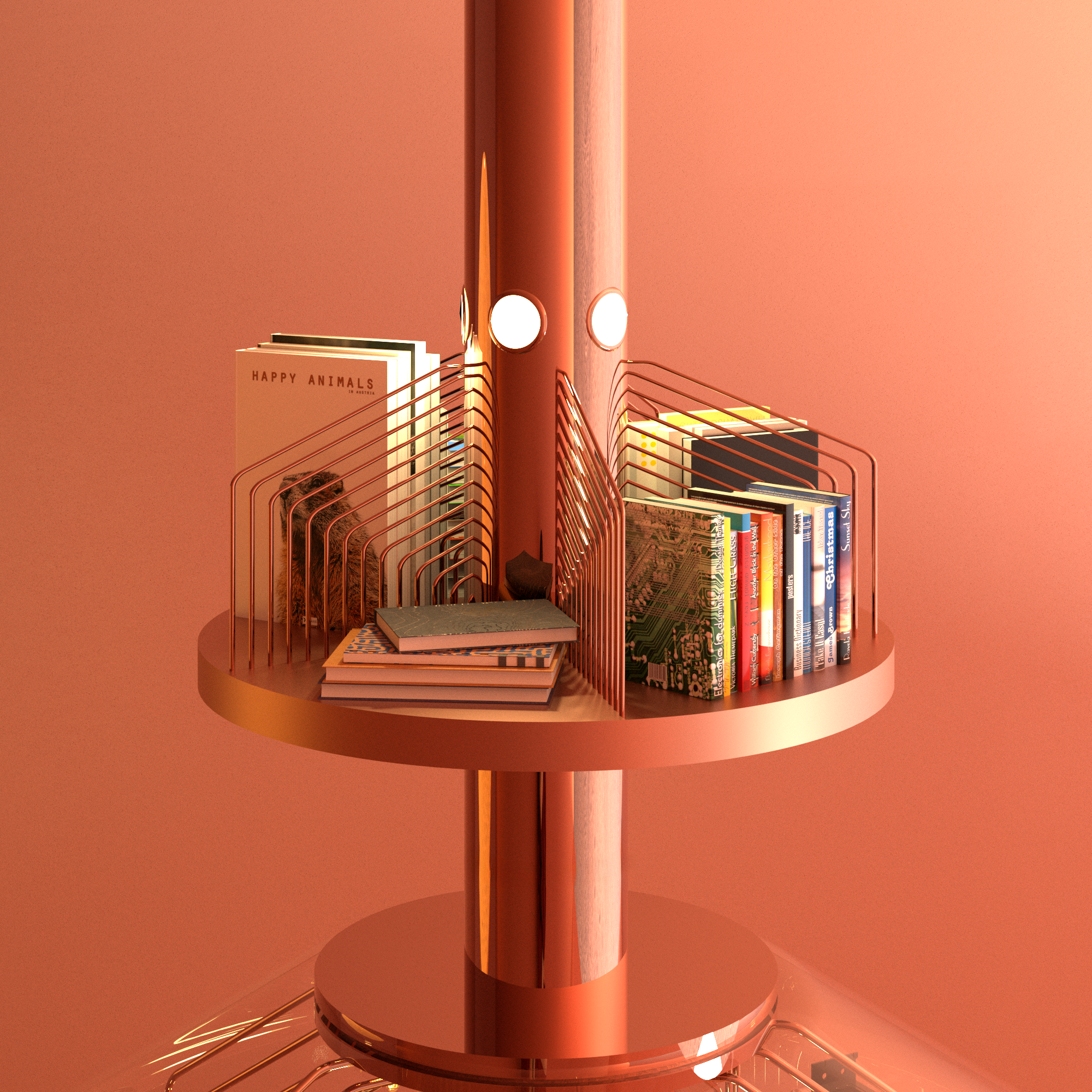 bookcase closeup.png