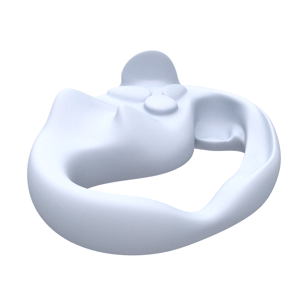 blank form perspective.png