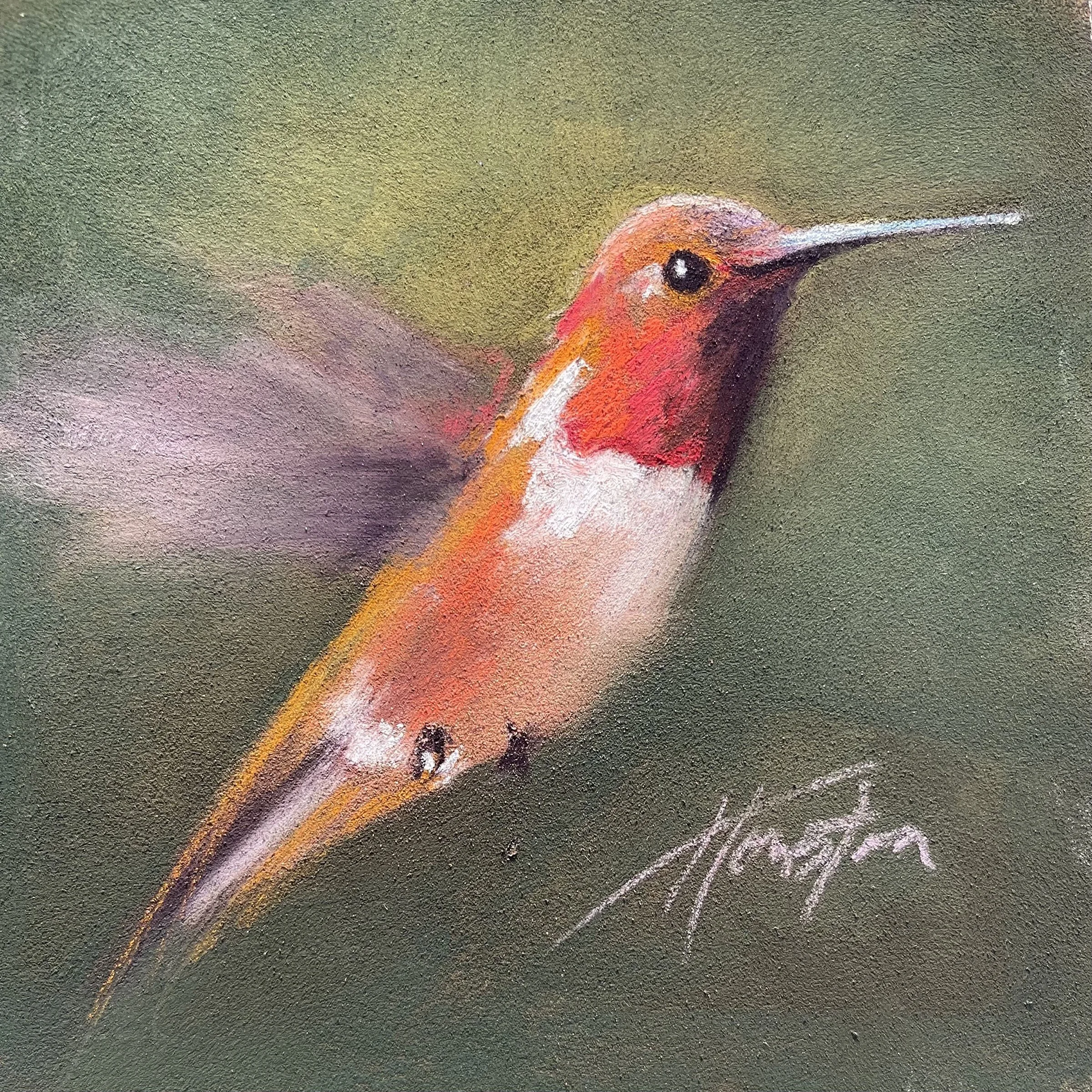 Anna Hummingbird Flutter 6x6 pastel.jpg