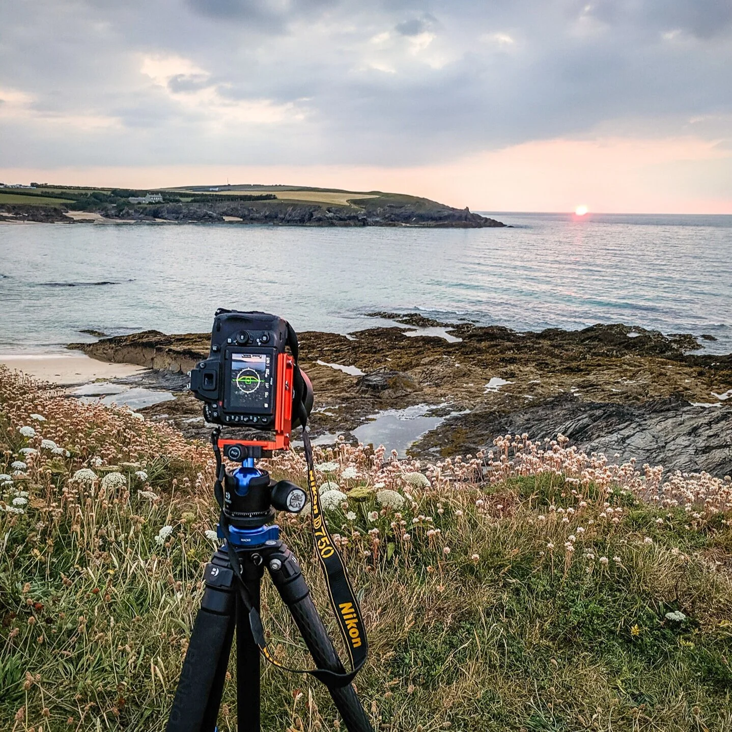 harlyn-tripod-212402.jpg